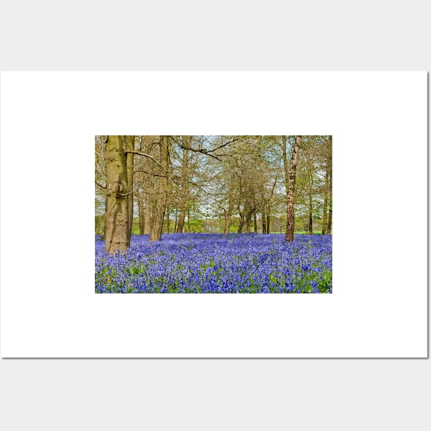 Bluebell Woods Greys Court Oxfordshire UK Wall Art by AndyEvansPhotos